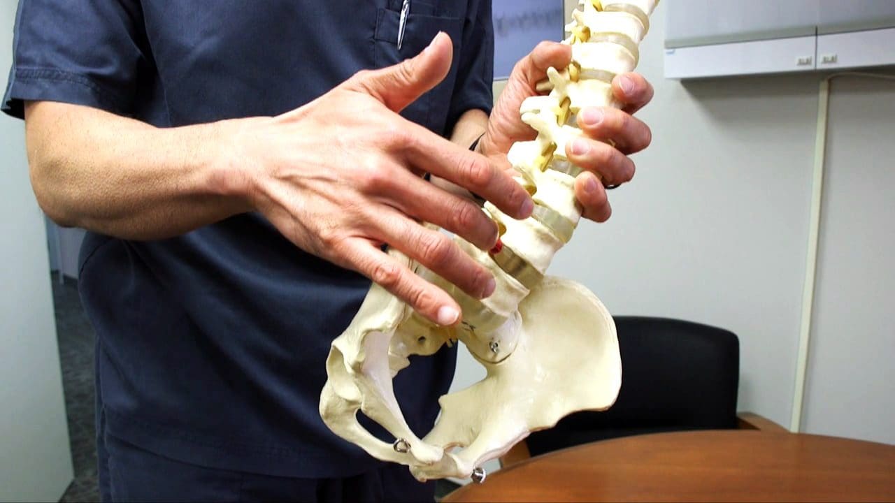 personal injury doctor chiropractor spine model explanation el paso tx