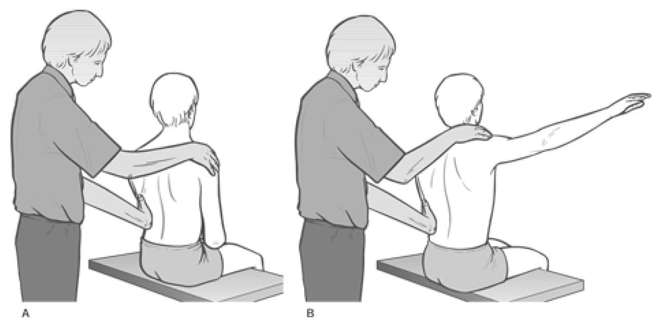 Figure 4 31 Palpation Assessment for Upper and Lower Fixators of the Shoulder Image 2